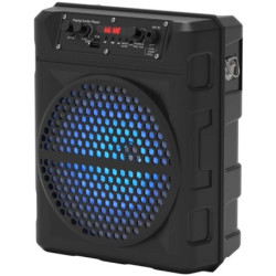 Портативная колонка RITMIX SP-810B black   - фото